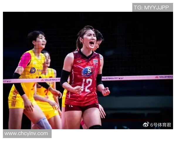 北京排球队反击策略分析与未来发展展望